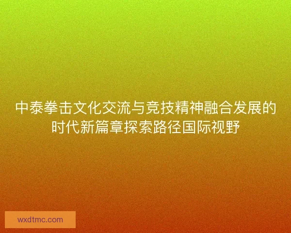 中泰拳击文化交流与竞技精神融合发展的时代新篇章探索路径国际视野