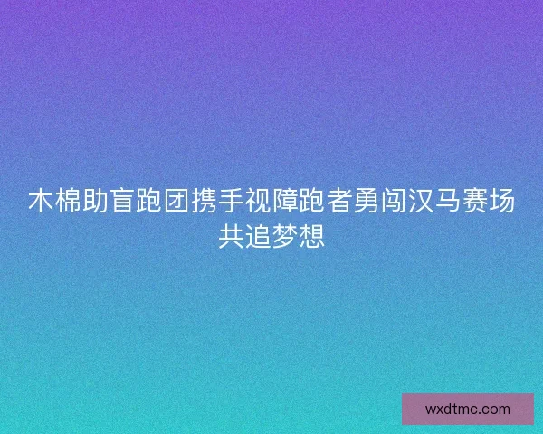 木棉助盲跑团携手视障跑者勇闯汉马赛场共追梦想